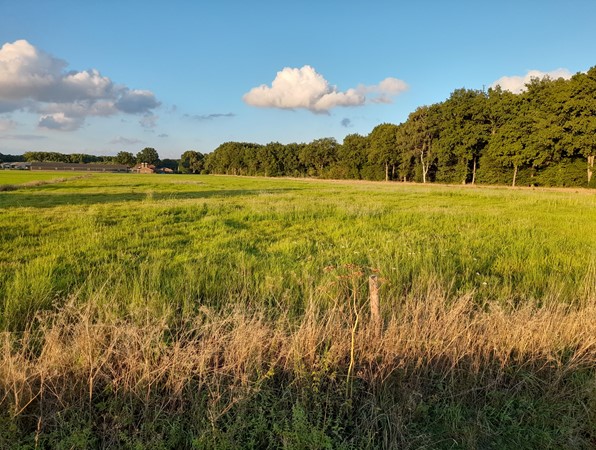 Medium property photo - Schoenlapperweg, 3862 PL Nijkerk